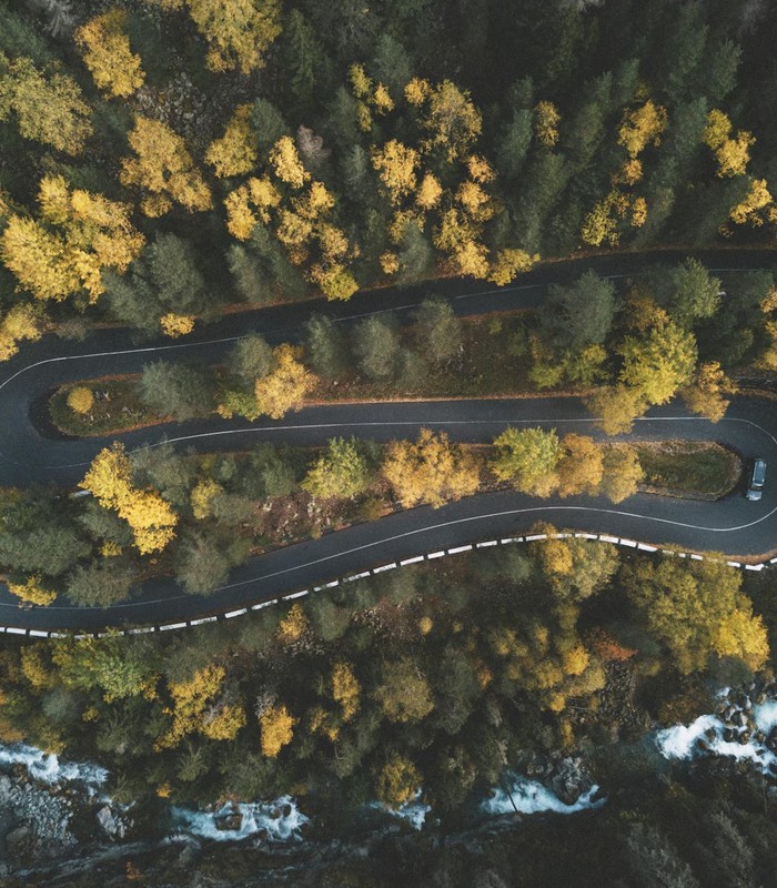 A stunning aerial shot capturing a curvy road through a dense forest in fall, with vibrant foliage.